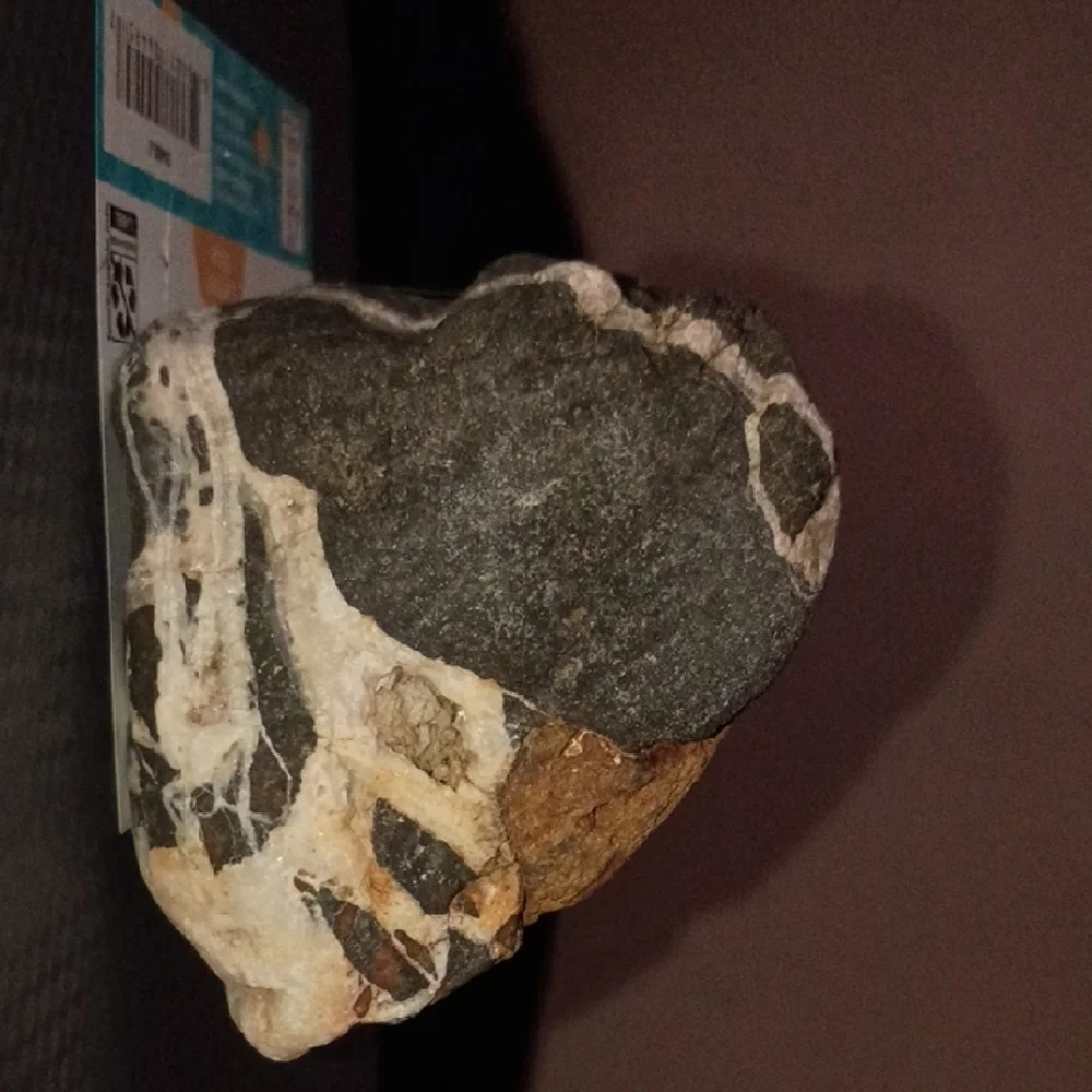 Natural Rock Decor for Reptile Habitats